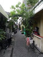 ILW Surabaya 4 Darmo Reiniersz Boulevard Kembang Koening kampung Pakis