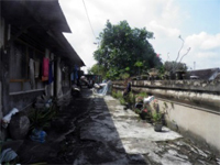 80 ILW Yogyakarta 1B Waterkasteel 80 manggisboomen