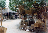 ILW Yogyakarta 1B Waterkasteel vogelmarkt